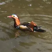 蟻んこ