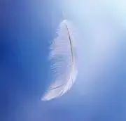 フェヤンクの画像