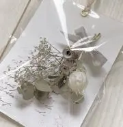 nRの画像