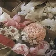 dori_i_の画像