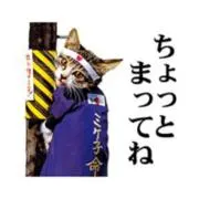 大花火の画像