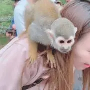 Yuuriの画像