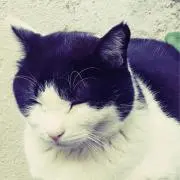 の子