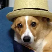 らんまるの画像