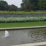 みかんの画像