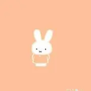 miffy⌒★の画像