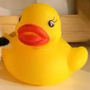 りんりんの画像