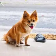 ろくよん・プロフ必読・の画像