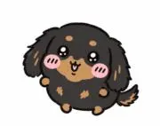 chaniiの画像