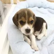 そら