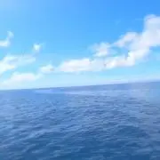 すーかーぴ※3月31日まで限界値下げ中