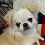 hani830の画像