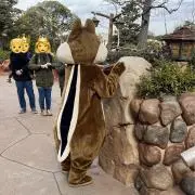 Chudeの画像