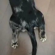 yumiの画像