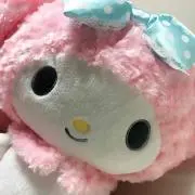 ぽむりんの画像