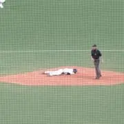 アモレの画像