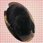 くろうさぎ