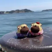 NANAKOの画像