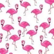 Pink Flamingoの画像