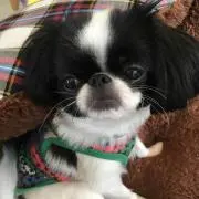 marichanの画像
