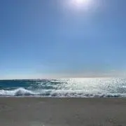 aiの画像
