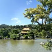 Akkiの画像