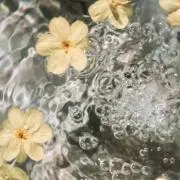みーの画像