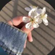 すかい✴︎24時間以内発送