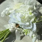 かなこ