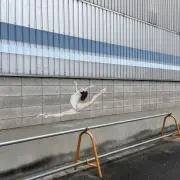 なのなのの画像