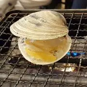 うたの画像