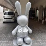 Rの画像