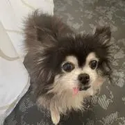 Mr.front