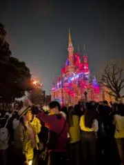 秋桜の画像