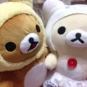 りらくまの画像