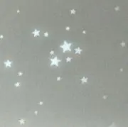にゃの画像