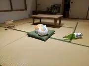 なぴの画像