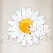 まる°