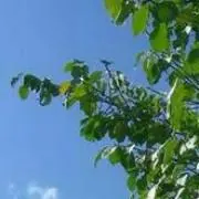 gontaママの画像