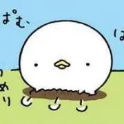 涼子の画像