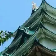 NCNRの画像