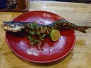 【プロフィール確認お願いします】