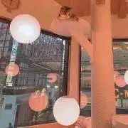MooN 簡易包装の画像