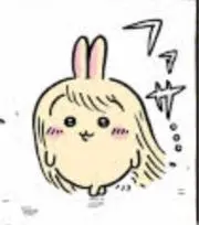 こあらです。の画像