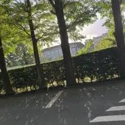 Marco Onoの画像