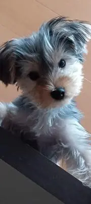 天の画像