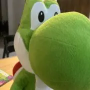 よっしーの画像