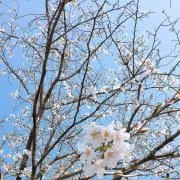 とあの画像