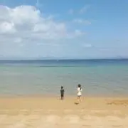ム～ムの画像