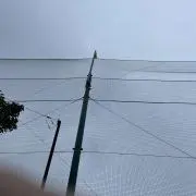 zakiaの画像